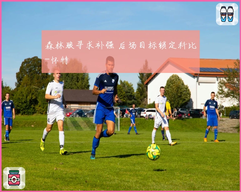 森林狼寻求补强 后场目标锁定科比-怀特