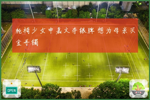 轮椅少女申嘉文夺银牌 想为母亲买金手镯